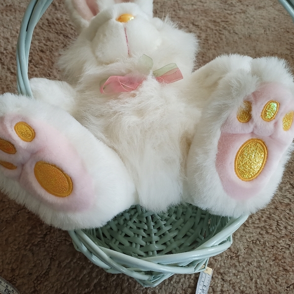 LG Easter Basket & Bunny !! - Picture 11 of 16